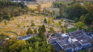 Only 25 days a year! The ultimate guide to Tachuan's most beautiful autumn colors