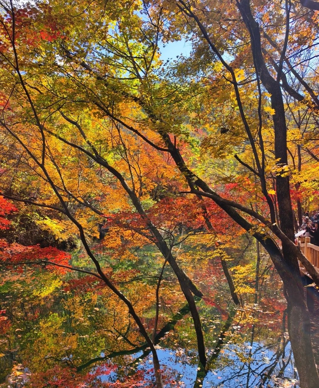 Benxi Laobiangou | Northeast China's Autumn Hidden Gem: A Poetic Landscape of Crimson Maples.