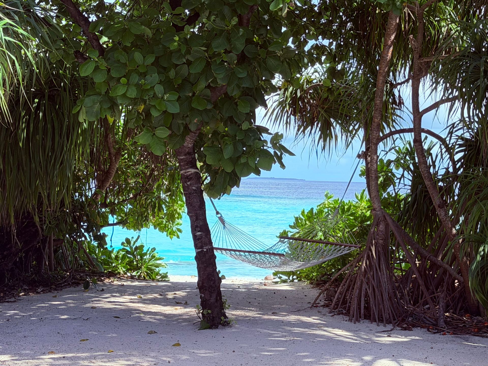Fantastic Honeymoon Experience at Furaveri