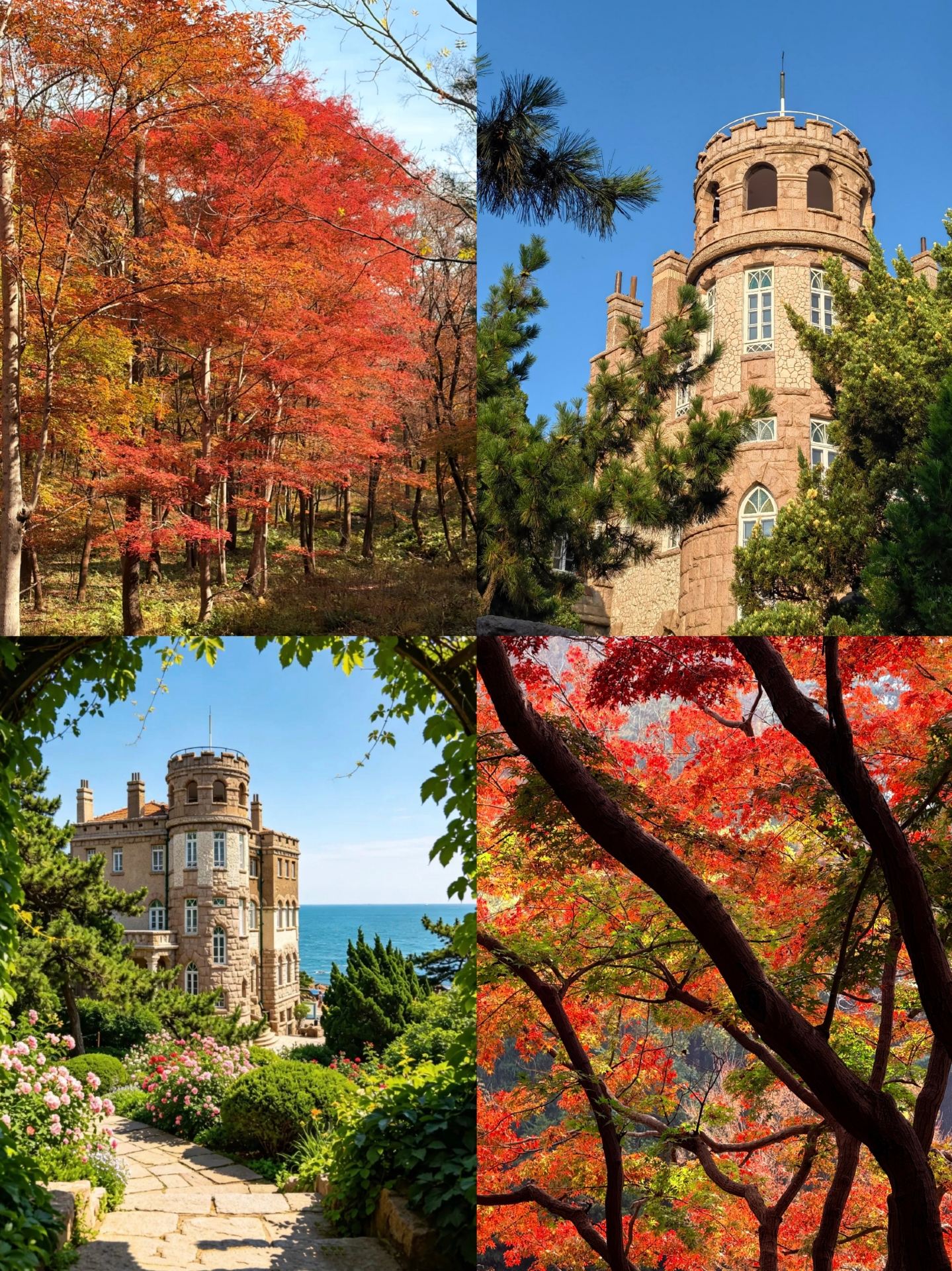 4 top-rated autumn destinations in Shandong to visit in October–November