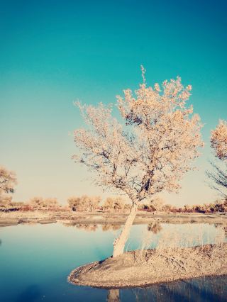 The most comprehensive guide to desert tourism in China: where to go, how to get there, and what to do.