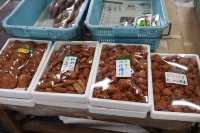 魚市場遊記