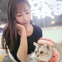 親親貓主子的上樓cafe shop 