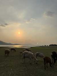 นิวซีแลนด์เมืองไทย (เขื่อนป่าสัก)