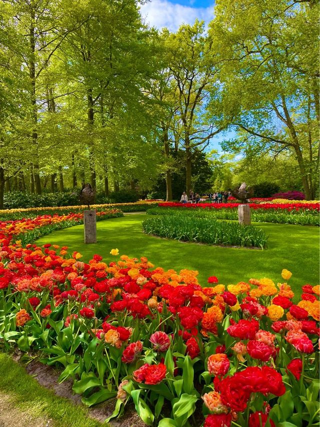 전세계에서 가장 예쁜 꽃을 보고싶다면 ? 🌷 쾨켄호프로 오세요!