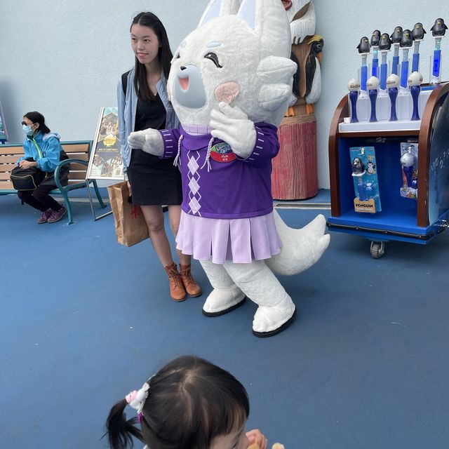 去邊去玩？🤣來香港Ocean Park。