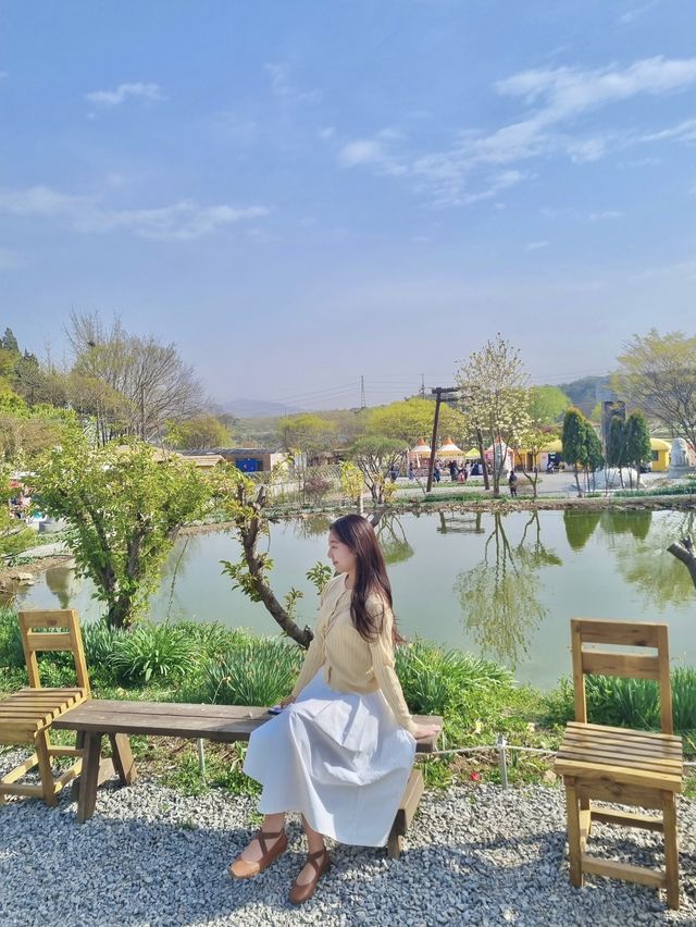 💛서산 유기방가옥 수선화💛