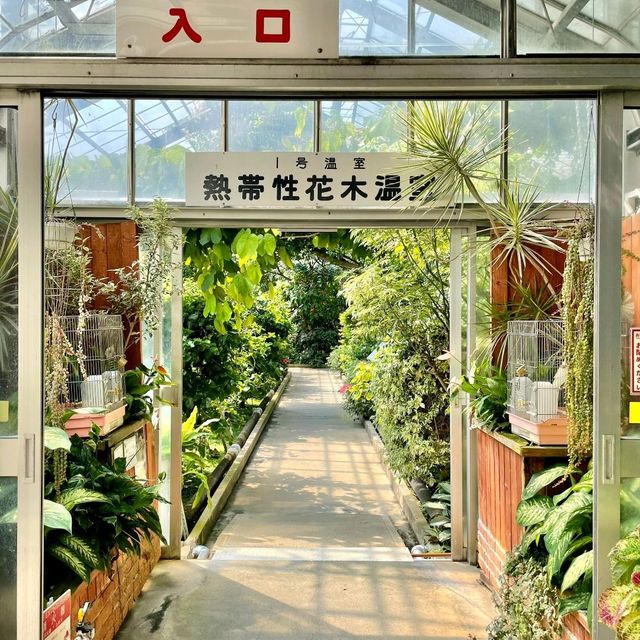 熱帯植物の楽園　熱海バナナワニ園