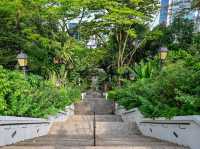Fort Canning Park 🍃✨