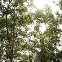 MoJen’s Retreat- Nơi chữa lành tâm hồn