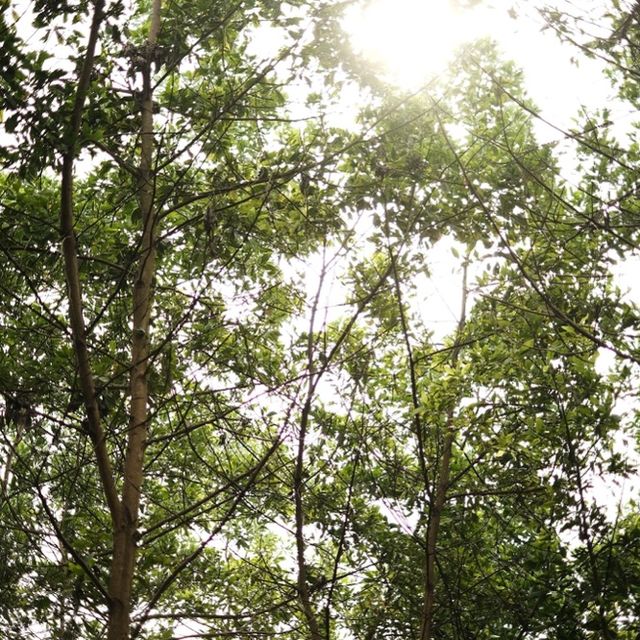 MoJen’s Retreat- Nơi chữa lành tâm hồn