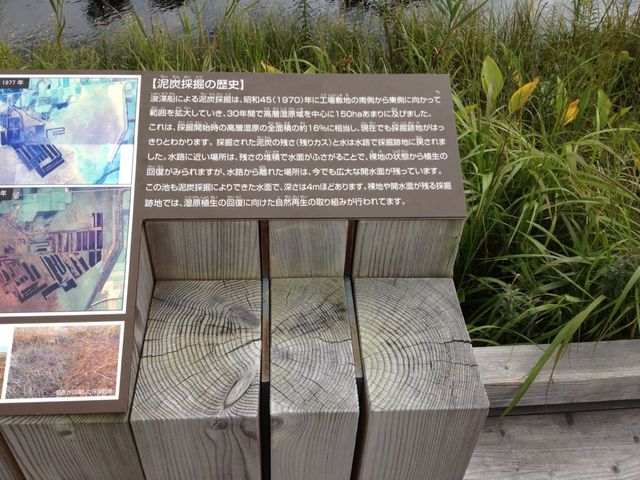 北海道　北海道観光　北海道らしい風景　サロベツ原生花園で和む！
