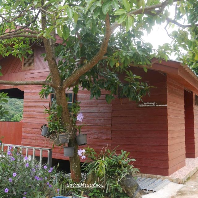 บ้านพัก แม่กลางหลวงวิว นอนชิลท่ามกลางวิวสวย