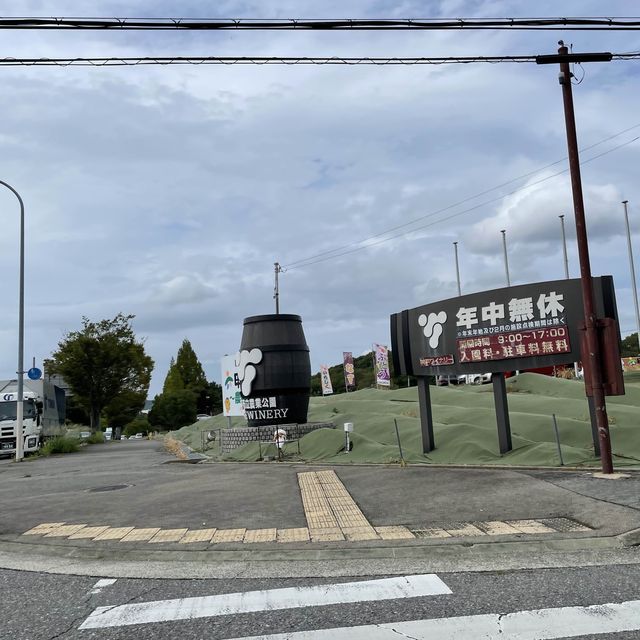 【兵庫県】神戸ワインが勢揃いする夢のようなワインショップ！