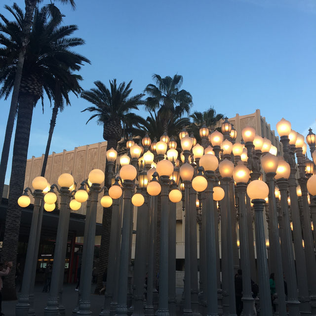 la현대미술관🎨 LACMA, Urban Light