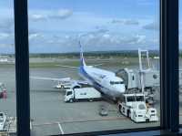 北海道　北海道観光　新千歳空港から成田国際空港へANA便エコノミー席でフライト！