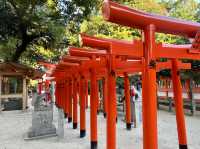 福岡博多住吉神社｜寧靜美麗的地方，三大住吉之一