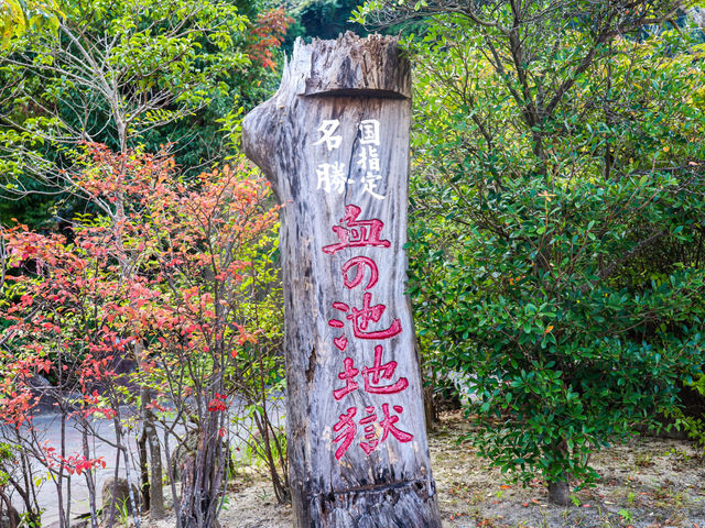 【大分県】別府名物「別府 地獄めぐり」③血の池地獄〜龍巻地獄👹