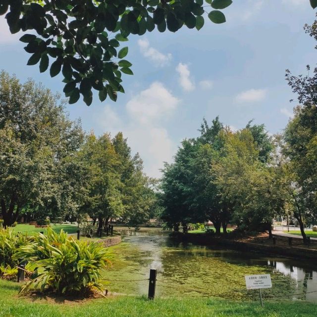 優美的市區隱身秘境-阿里山林業村