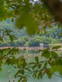 산책하기좋은 마장호수 출렁다리