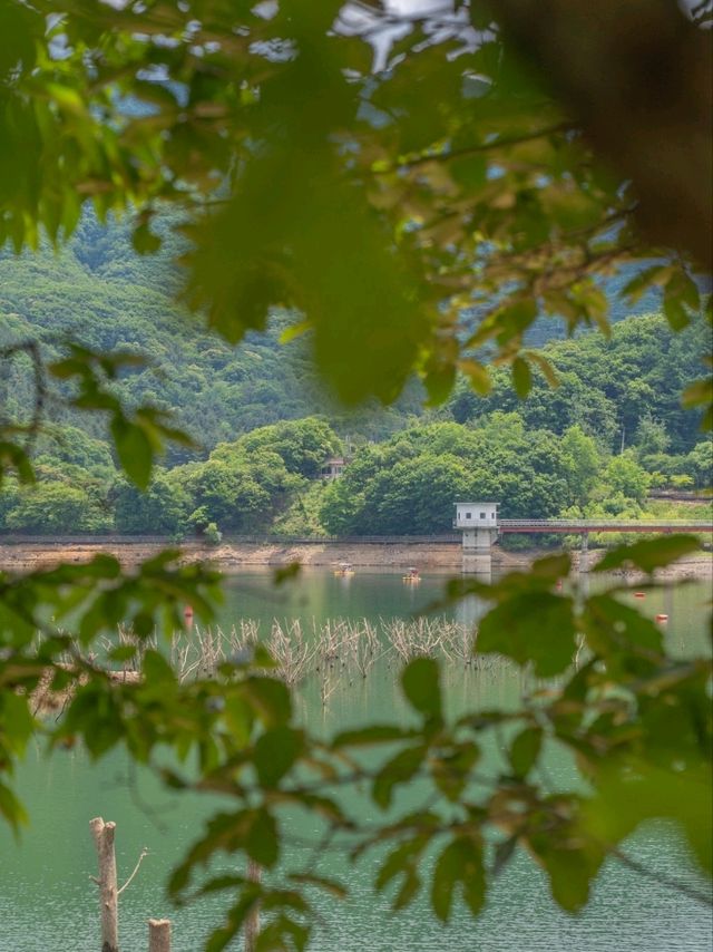 산책하기좋은 마장호수 출렁다리