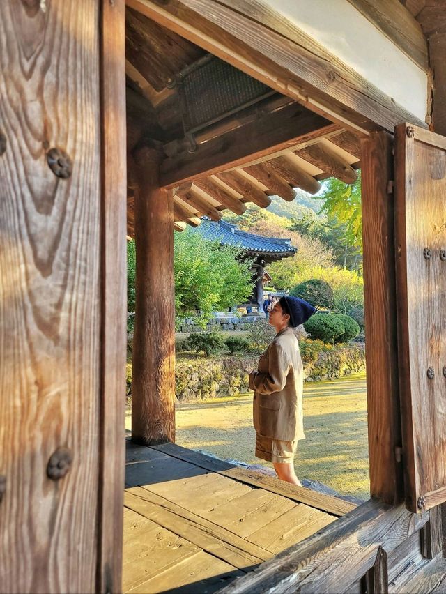 늦가을 즐기기 좋은 밀양여행지🍂