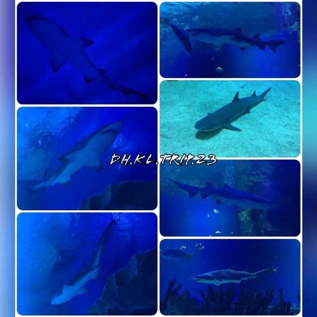 The Gateway to The Marine World