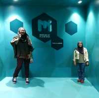 Tricky arts & illusions, Museum of Illusions