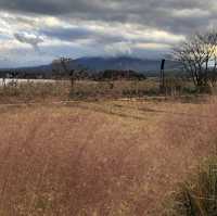 富士山 河口湖 值得一遊