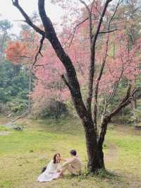 ศูนย์อนุรักษ์พันธุ์กล้วยไม้รองเท้านารี 🌸🌸