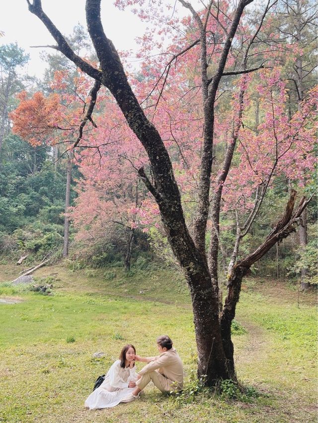 ศูนย์อนุรักษ์พันธุ์กล้วยไม้รองเท้านารี 🌸🌸