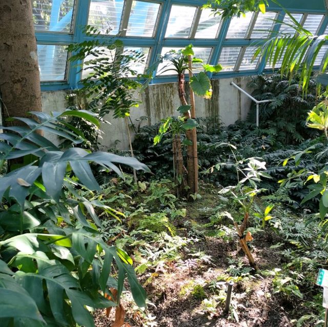 台中 國立自然科學博物館植物園

