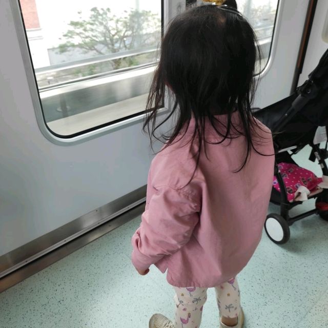 氹仔👀觀光👀