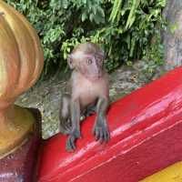 Batu Caves ~ A must see in Kuala Lumpur