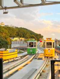 이국적인 분위기 가득- 블루라인파크 스카이캡슐🚃