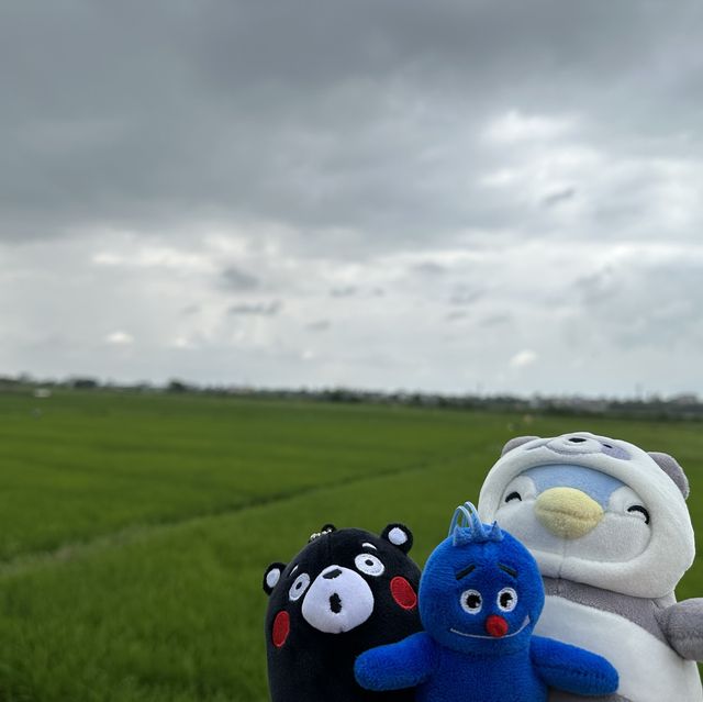 日間騎遊探索會安文化🚴🏻‍♂️🏇🏻