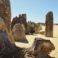 The Pinnacles Desert - Perth, Australia