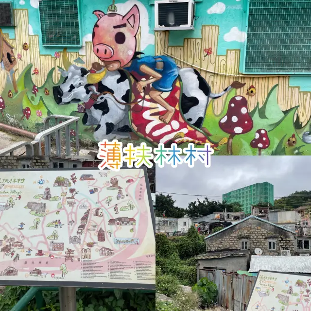 自家農田，香港僅餘的臨時房屋區