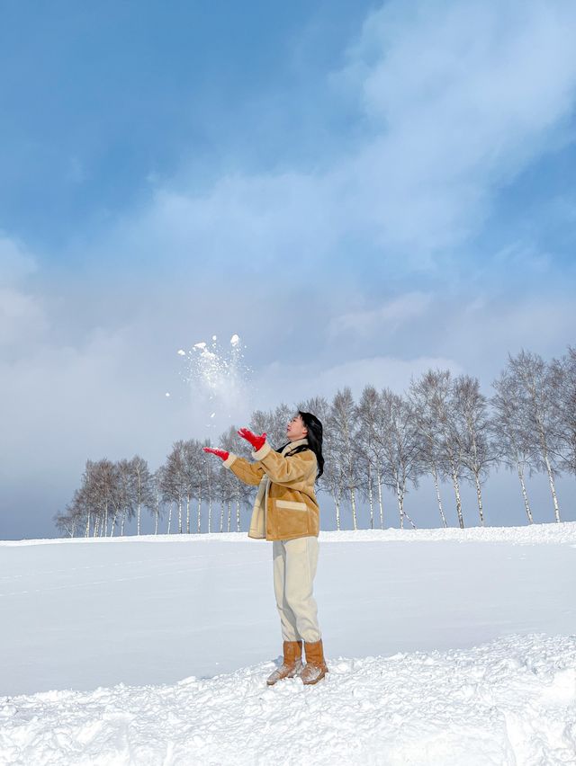 비에이 버스투어의 첫번째 코스, 패치워크로드 ⛄️