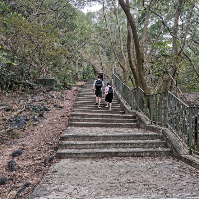 天陰陰散散步