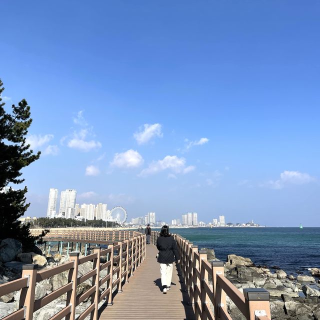 당장 떠나고싶은 시원한 바다! 속초