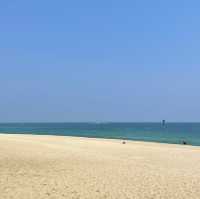 서퍼들이 좋아하는 파도가 몰려온다! 강릉해수욕장🏖️