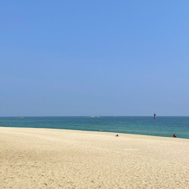 서퍼들이 좋아하는 파도가 몰려온다! 강릉해수욕장🏖️