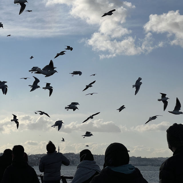 Europe to Asia-Crossing the Bosphorus ⛴️