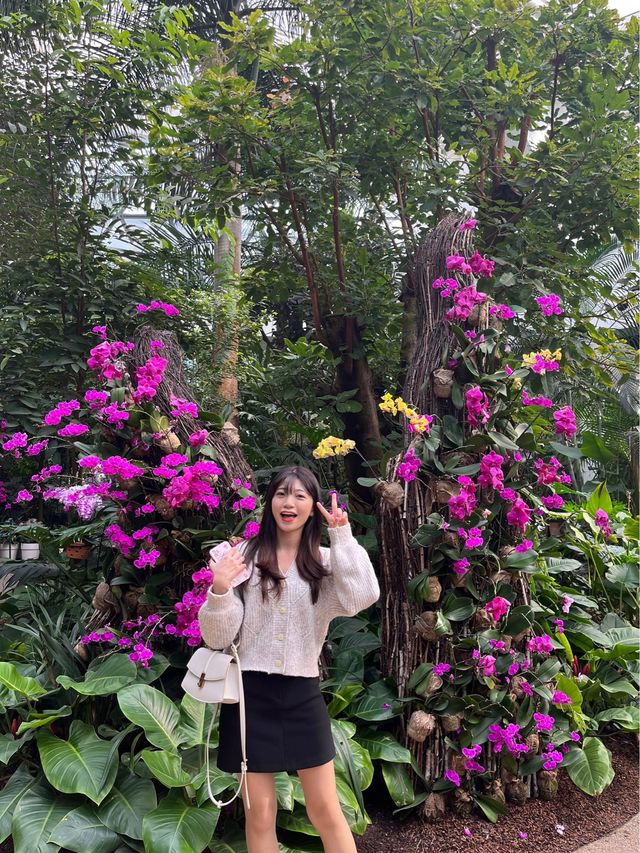 서울에서 실내데이트하기 좋은 서울식물원🌷❤️