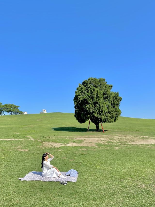 서울 올림픽공원 원조 사진 맛집 #나홀로나무 🌳