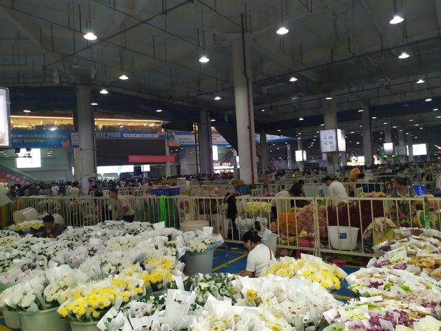 昆明-斗南花市(亞洲最大花市)-名不虛傳熱鬧到夜晚