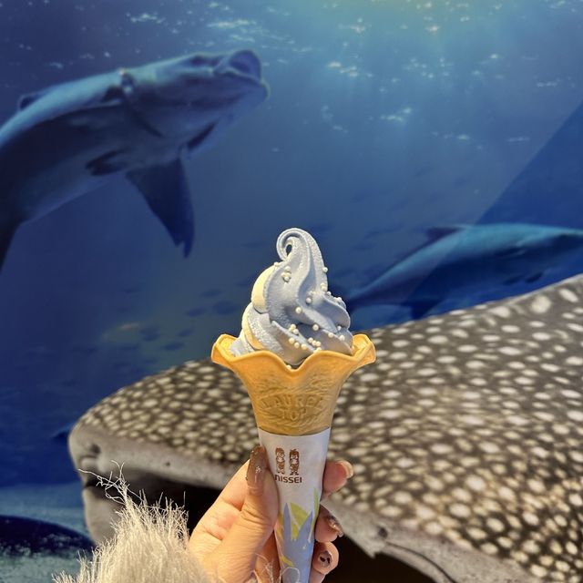 大阪🇯🇵海遊館半日遊