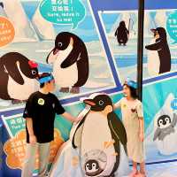 免費體驗10大動物歷險區