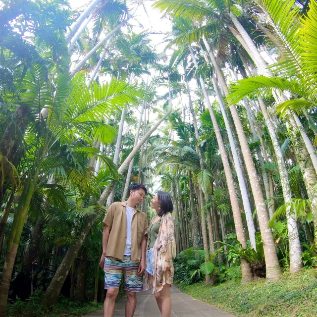 📍 美らヤシパークオキナワ・東南植物楽園/沖縄